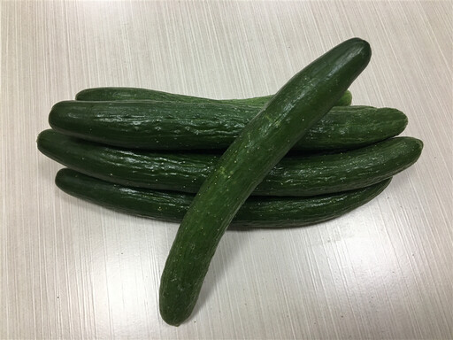 胡瓜新品種「夏美」通過品種權申請！克服高溫溼熱天氣、夏天也能吃「瓜」！