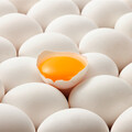 大武山牧場6月將上市且推出生食級雞蛋！攜手日本最大蛋雞牧場打造彰化洗選廠！