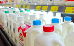 美國乳牛染禽流感！防檢署監測國內乳牛：H5N1皆陰性、可安心購買國產乳品