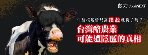 【乳肉安全性】牛結核病牛的生乳和肉有什麼食安風險？如何確保市售國產鮮乳安全無虞？
