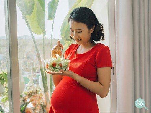 孕婦貧血吃這些食物就對了！注意營養補充4大關鍵！