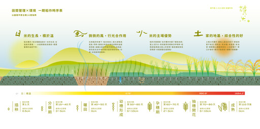 「讀米」特展於華山展出3個月！從科學數據到飲食品味的好米平台 打開米的文化新向度