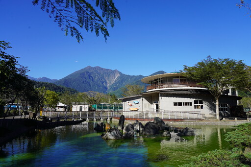 從田間到餐桌 花蓮食農博覽會邀集破30個攤位 推動永續食育與實踐環境保護