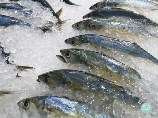 魚一定有腥味嗎？異味又是怎麼產生？