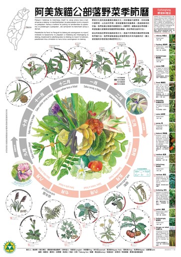 花蓮豐濱「阿美族貓公部落」的珍貴智慧！用野菜季節曆傳承飲食文化和生態知識