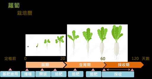 一鍵開啟綠生活！「種菜芳城市」化身栽培顧問 讓你輕鬆獲取栽培指引！