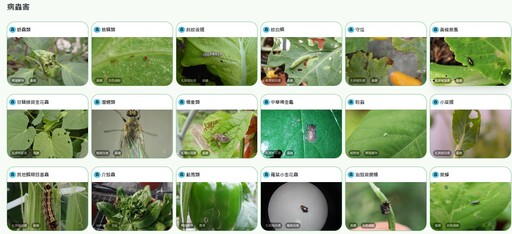 一鍵開啟綠生活！「種菜芳城市」化身栽培顧問 讓你輕鬆獲取栽培指引！