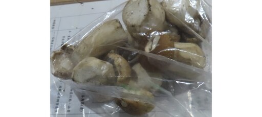 聯馥食品進口「香芹」共驗出13項農藥殘留！食藥署將針對該進口商加強檢驗