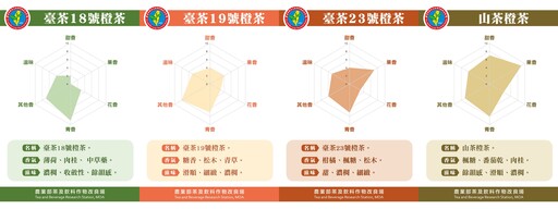 兼具獨特風味和環保製程的「台灣橙茶」！省工低碳的專利新製程讓不同葉種皆能製成品質優異的台灣茶！