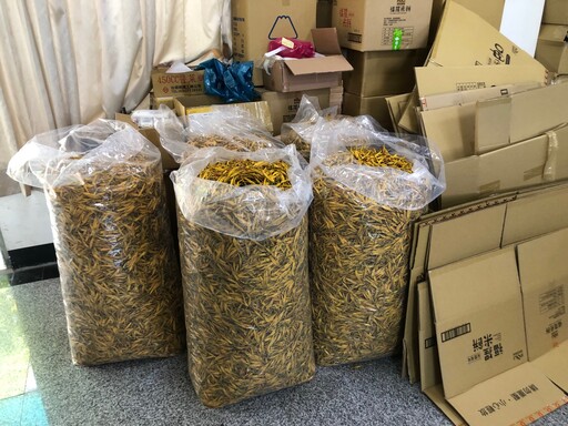 花蓮無硫乾金針首度碳足跡盤查 全國首個碳標籤加工蔬菜即將誕生！