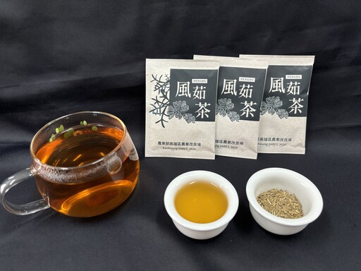 澎湖特有的「風茹」是什麼植物？泡茶可降火解暑、還含有綠原酸等機能成分！