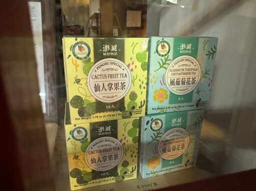 澎湖特有的「風茹」是什麼植物？泡茶可降火解暑、還含有綠原酸等機能成分！