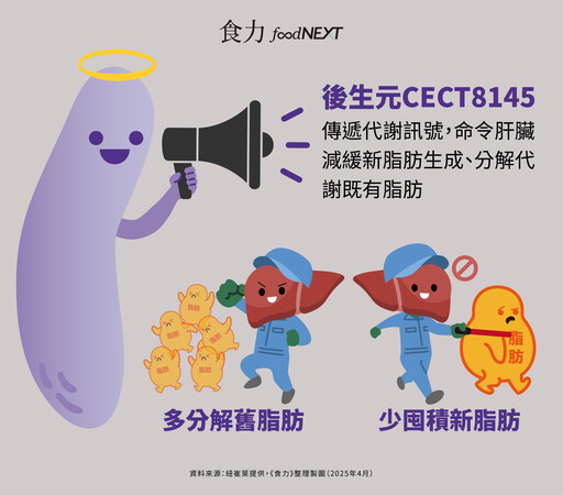 【食聞】易瘦體質關鍵在腸道？促進代謝、打擊內臟脂肪 就靠「後生元CECT8145」！