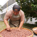 屏東原鄉力量響應SDGs！達魯法樂可可工坊以友善農法栽種可可、推動食農教育與身障就業