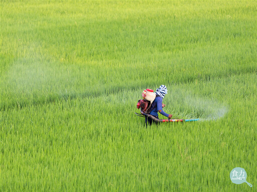農藥所研發自動化質譜數據分析技術 替代人工判讀、10分鐘檢出農藥殘留結果!