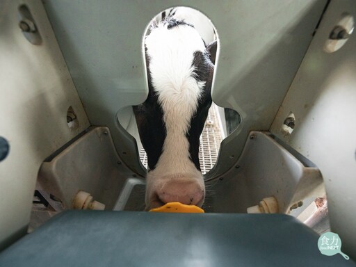 進口乳來襲、酪農怎麼活？鮮乳坊龔建嘉揭穩固台灣鮮乳競爭力的三支箭