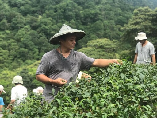 【食聞】從土地出發串連文化與永續 — 新北市打造共好食農教育 體驗出在地文化的美好風情