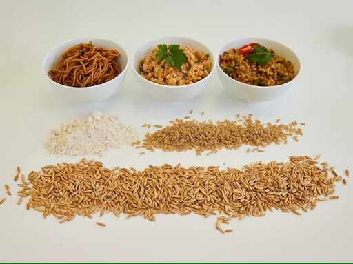 碳水減3成、纖維多10倍!澳洲560萬澳元打造主食級燕麥米、亞洲市場搶先導入