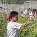 【食聞】食農教育有什麼價值？國家食農教育傑出貢獻獎得主這樣說