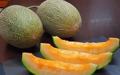 哈密瓜新品種「卡蜜拉」攻克氣候挑戰!一年兩收、每斤飆破150元