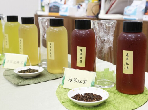 降低雜味、萃取更快!茶改場開發「破壁+濕裁切」雙技術、提升30%萃取率