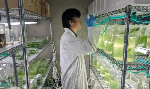 海藻不只是配角！日本如何打造新一代海洋蔬菜食文化？