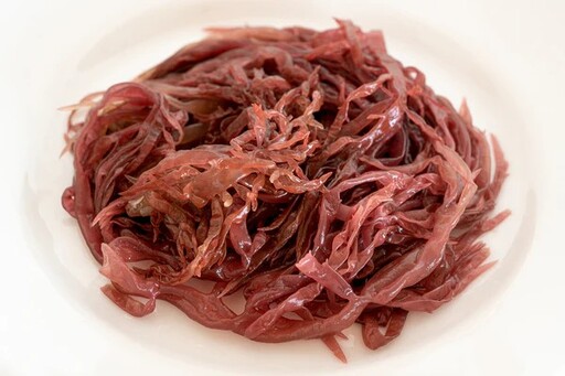 海藻不只是配角！日本如何打造新一代海洋蔬菜食文化？