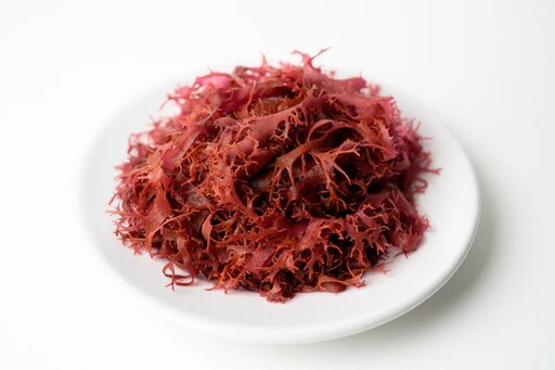 海藻不只是配角！日本如何打造新一代海洋蔬菜食文化？