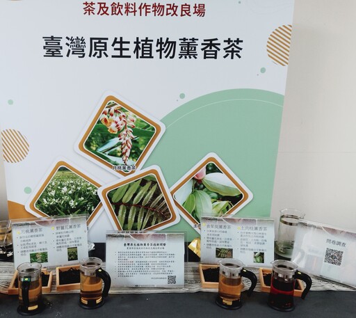 顛覆傳統薰花法！台灣研發原生植物純露薰茶技術 成本低更穩定