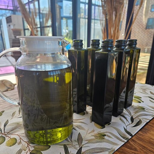 高溫乾旱讓柑橘撐不住!韓國濟州島農民改種橄欖樹求生機