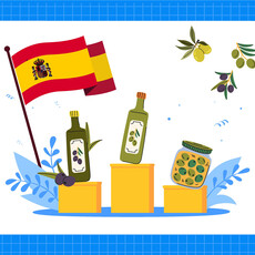 橄欖油挑選懶人包，西班牙資深導遊解析橄欖油關鍵密碼