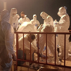 國軍進駐非洲豬瘟台中案例場！增援80人清潔支援、化學兵待命全面消毒