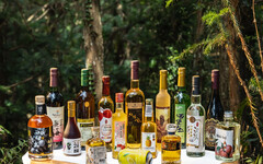 以在地果香釀出台灣風土！「2025台灣醞釀」嚴選果酒登場南港酒展