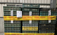 彰化文雅牧場雞蛋與羽毛再驗出芬普尼 裁罰12萬元並移送檢調追查污染來源