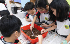 從「諸羅樹蛙」到「竹筍」 文雅國小食農教育串連大自然教孩子愛土地