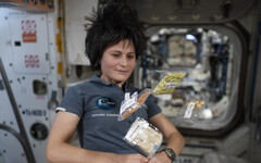 微重力的餐桌挑戰！太空餐如何克服味覺退化、抗輻射並撐過5年保存期？