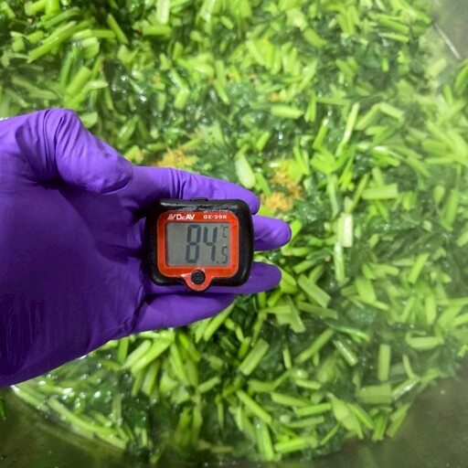 從「食安監控」到「食育永續」！新北如何打造零食安漏洞的「金食力」午餐？