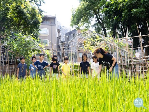 從「食安監控」到「食育永續」！新北如何打造零食安漏洞的「金食力」午餐？