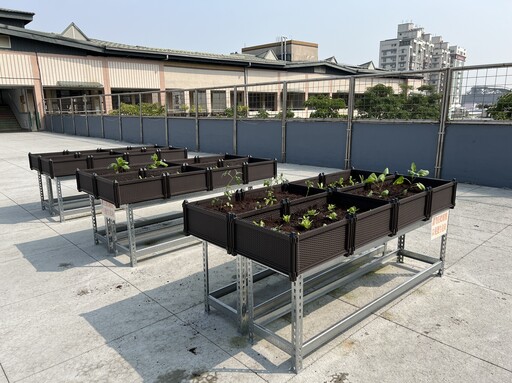 從「食安監控」到「食育永續」！新北如何打造零食安漏洞的「金食力」午餐？