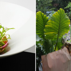 Fine Dining 的下一課：當永續成為MUME餐廳的日常哲學