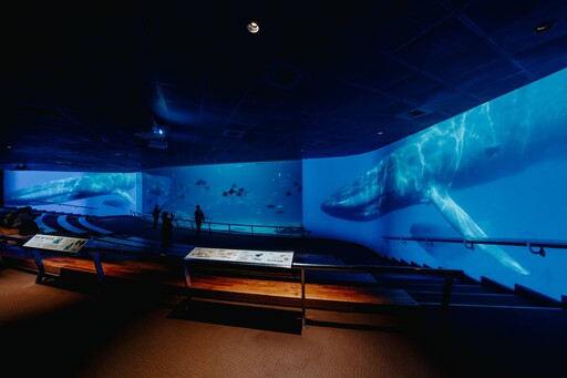 藍鯨骨骼展震撼吸睛 屏東海生館攜手文策院CCC追漫台 推專屬尋鯨之旅
