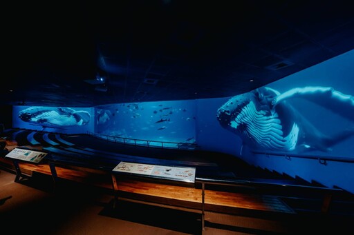 藍鯨骨骼展震撼吸睛 屏東海生館攜手文策院CCC追漫台 推專屬尋鯨之旅
