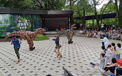2024年度暑假特別企劃-大板根獨家原創恐龍親子劇場 親子旅遊最佳景點