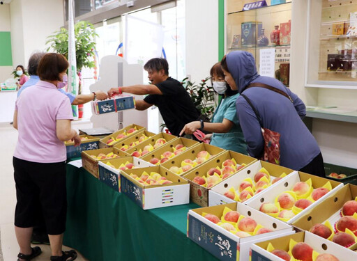 善盡中華郵政企業責任CSR 竹郵設攤開賣鮮甜多汁的尖石水蜜桃