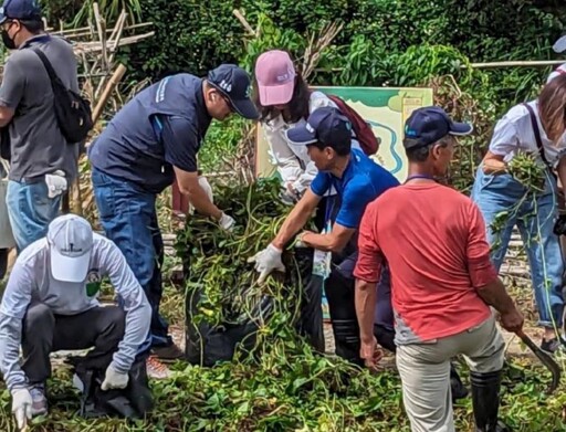 移除綠色殺手小花蔓澤蘭 桃園除蔓日邀市民攜手護家園