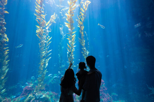 屏東海生博物館12/7海寶大冒險 沉浸體驗海洋生物音樂饗宴世界