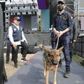 警犬出動 全面啟動2025台南好young 跨年晚會安全維護 迎來史上最隆重、最華麗的演出陣容