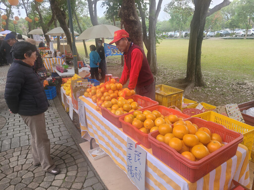 古坑茂谷柑節喜氣登場 歲末特色市集祈福迎新