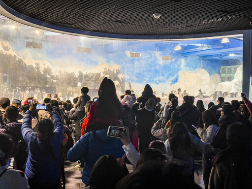 為屏東海生館內企鵝白鯨海洋生物圍爐大解密紀實