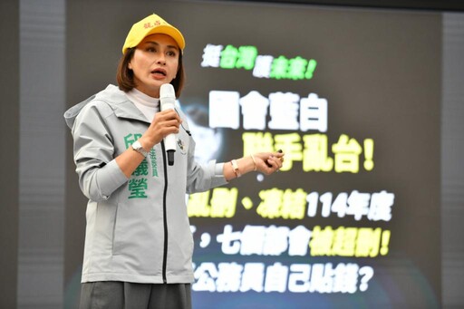 邱議瑩等高雄四綠委「挺台灣護未來」開講